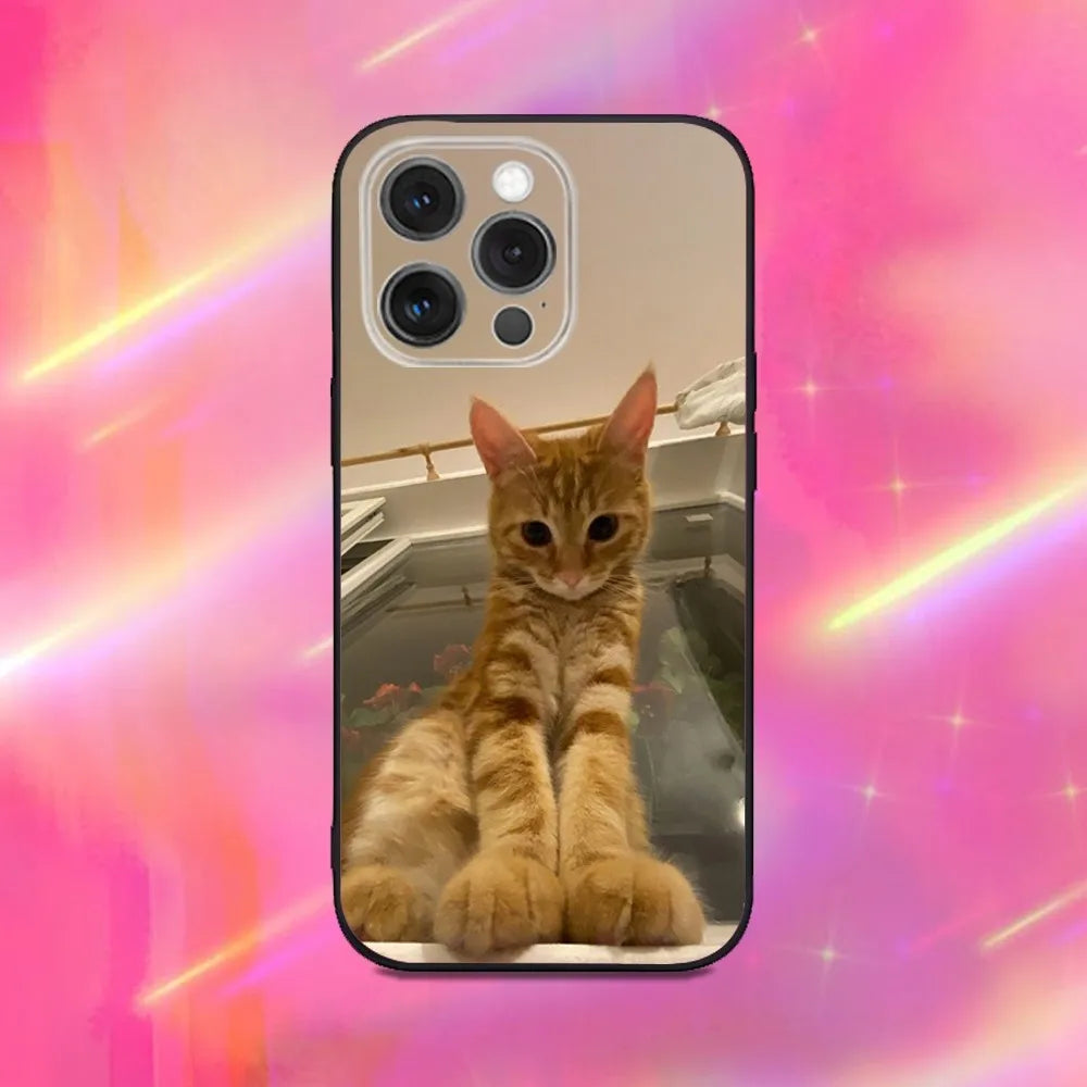Funny Cute Cat Phone Case